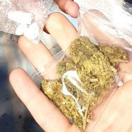 Sippe Lean