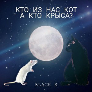 КТО ИЗ НАС КОТ А КТО КРЫСА?
