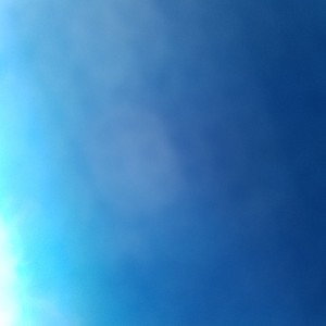 poo blue