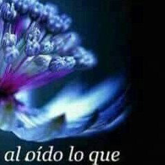 noches Loka Randy