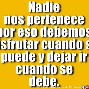 eclisando 