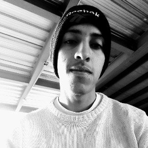 probando Stylos 