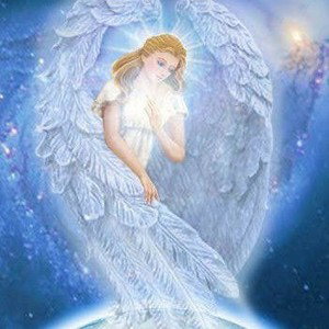 Spirit Guide