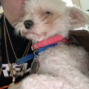 Ride or  die 2 