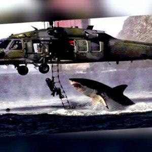 Orca Infaz Serisi P1