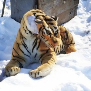 Губка Боб 