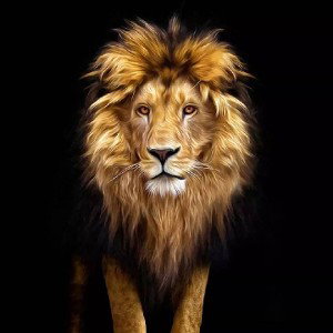 Lion king
