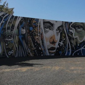 El muro 
