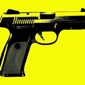 Gun
