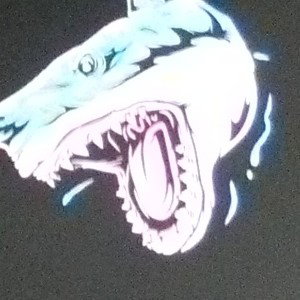 shark bite
