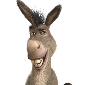 Shrek and donkey