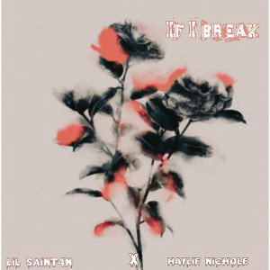 If I break x Haylie nichole