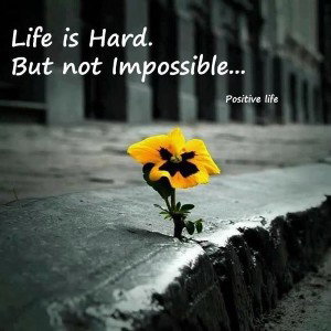 life is hard