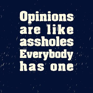  Opinions