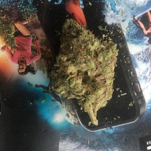 KushOPEN