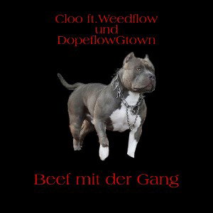 C-Loo Ft Dopeflow Gtown & Weedflow - Beef mit der Gang ( BmdG)