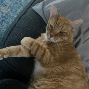 Trippin with my pussy 