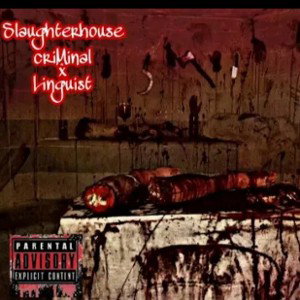 Slaughterhouse feat. Linguist (prod by Ill Fortune)