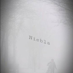 (B4lcrap/alexis_2020) niebla