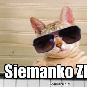 feat Z Lukasst-swojski chill