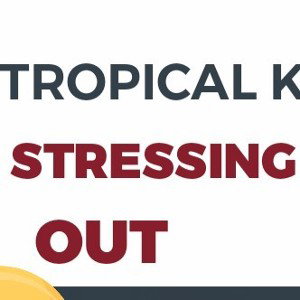 TROPICAL KING - STRESSING OUT