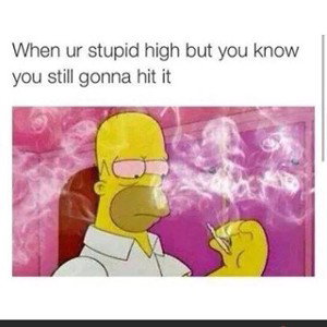 Bitches