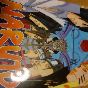 chaus
