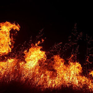 Detroit Fire 