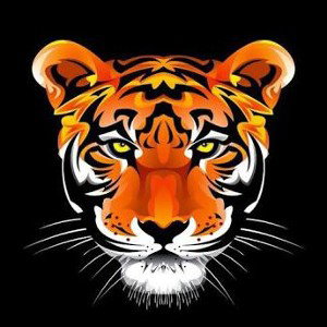 Mukhtar✖️ (Tiger) Egyptian rap NowListen✖️🔥