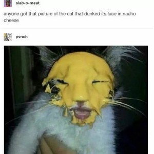 FR13D CH1CK3N