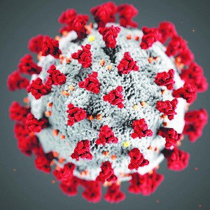preview.. coronavirus..