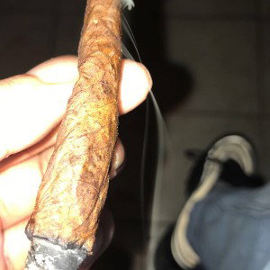 Loco