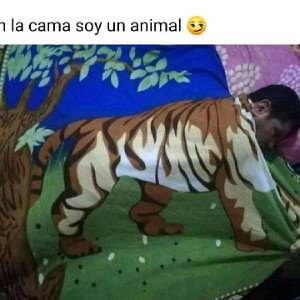 llego de la nada 