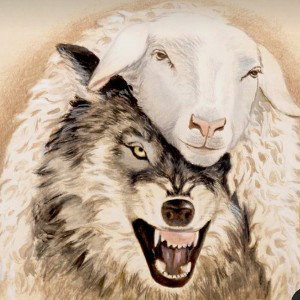 🐺 lobos 