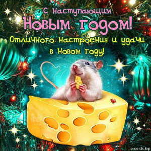 С НОВЫМ ГОДОМ!!!