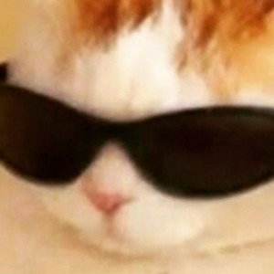 олодин