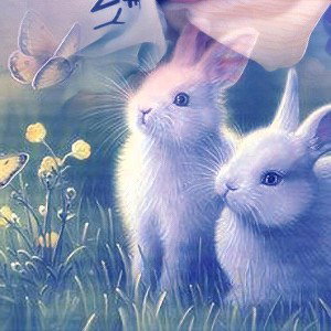 White Rabbit Ninja - Mix 3 Apr