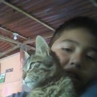 el cuidado de mi hogar