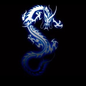 POWER DRAGON 
