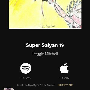 Super Saiyan 19 {freestyle} prod by black lyon label
