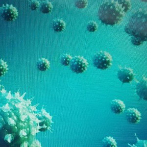 fuck the virus 