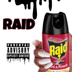 RAID