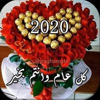ابي الاغنيه سريع الرجب هلا