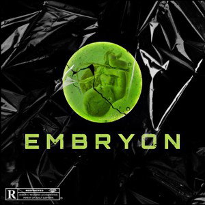 Embryon 