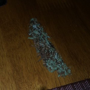  Winter Colo Free weed 