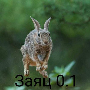 Заяц 0.1