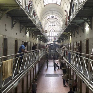 13 niggers in prison