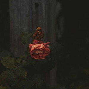 Time_ paralyzed