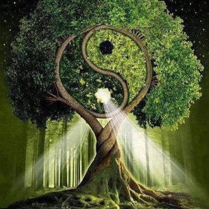 La sagesse / ‏الحكمة
