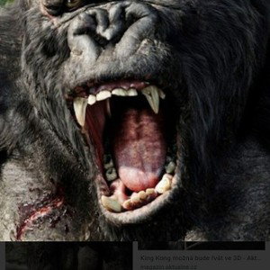 king kong 